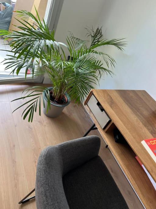 Ferienwohnung Le Petit Bruxelles Au Calme Toulouse Exterior foto
